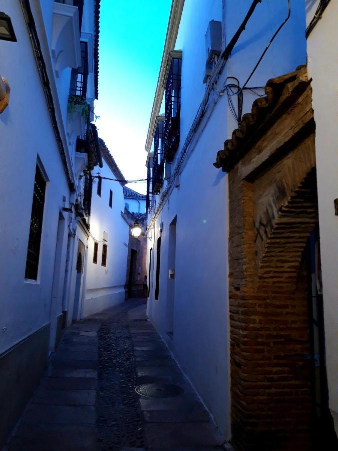 La Mirada De La Juderia Apartment